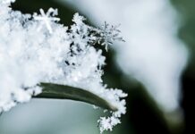 Какая погода будет в Одессе на выходных 29 и 30 января