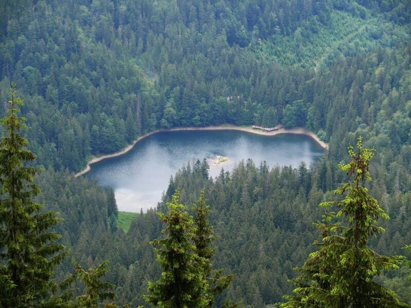 «Велике будівництво» прокладе хороші дороги до буковинських Карпат