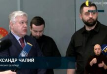 Переговоры в Стамбуле: украинская делегация подвела итоги