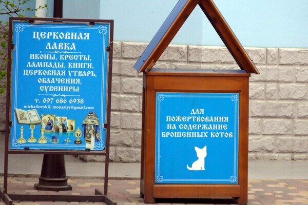 В одесском монастыре помогают котам-беженцам (фото) В одесском монастыре помогают котам-беженцам (фото)