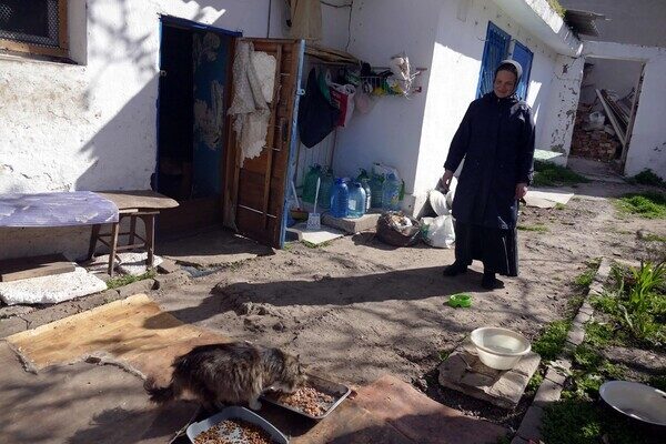 В одесском монастыре помогают котам-беженцам (фото) В одесском монастыре помогают котам-беженцам (фото)