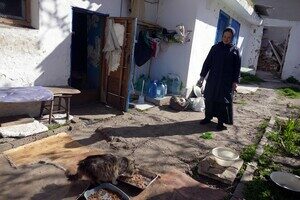 В одесском монастыре помогают котам-беженцам (фото) В одесском монастыре помогают котам-беженцам (фото)