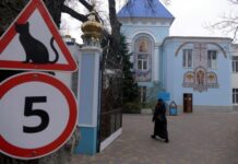 В одесском монастыре помогают котам-беженцам (фото)