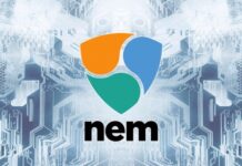 Обзор криптовалюты Xem: стоит ли ее покупать?