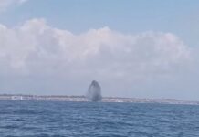 К побережью Одесской области в течение суток вынесло две мины
