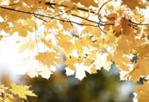 Тепло еще постоит: какая погода будет в Одессе на следующей неделе