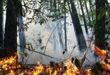 В Одесской области снова горит заповедник