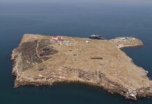 Стало известно, сколько военных удалось спасти со Змеиного