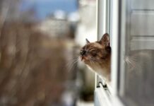 Отложи шубу: какая погода будет в Одессе на выходных