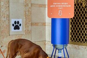 На одесском вокзале появятся поилки для животных На одесском вокзале появятся поилки для животных