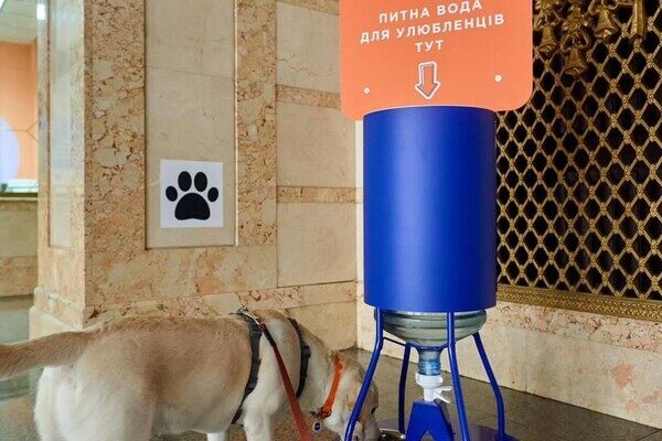 На одесском вокзале появятся поилки для животных На одесском вокзале появятся поилки для животных