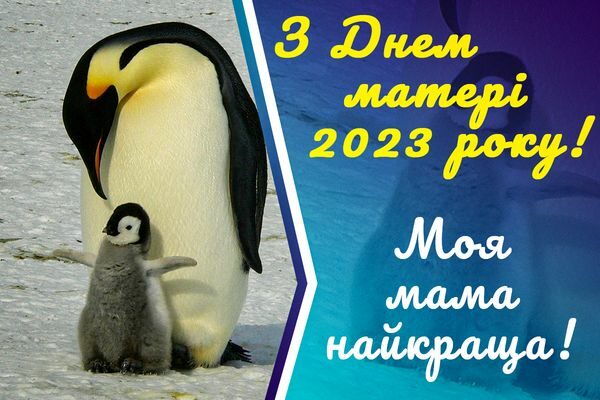Люблю тебе, мамо! Зворушливі привітання з Днем матері