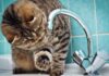 В Одессе перебои с водоснабжением: что случилось