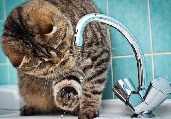 В Одессе перебои с водоснабжением: что случилось В Одессе перебои с водоснабжением: что случилось