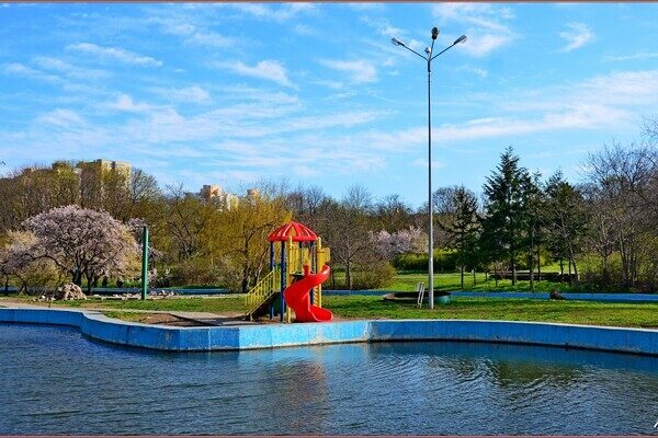 В парке Победы в Одессе цветут деревья (фото) В парке Победы в Одессе цветут деревья (фото)