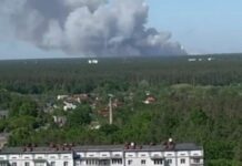 Під Києвом горить ліс: мешканців столиці попередили про небезпеку (відео)