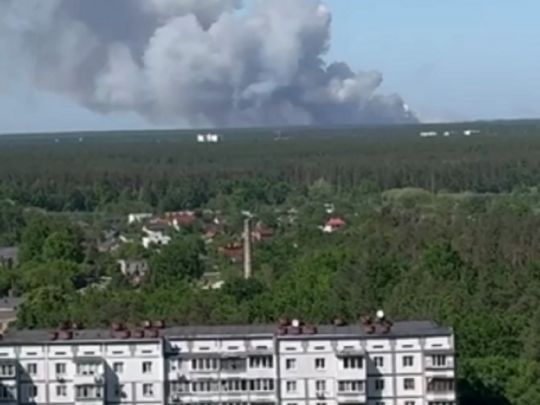 Під Києвом горить ліс: мешканців столиці попередили про небезпеку (відео)