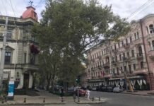 Новые названия топонимов: кто такая Нина Строкатая и почему в честь нее переименовали улицу Бунина в Одессе