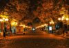Halloween Festival и шоу «Гарри Поттер на Halloween»: куда пойти в Одессе в эти выходные