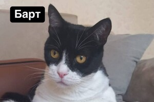 Ночная атака БпЛА: беспилотник уничтожил дом директора Одесского зоопарка (обновлено) Ночная атака БпЛА: беспилотник уничтожил дом директора Одесского зоопарка (обновлено)