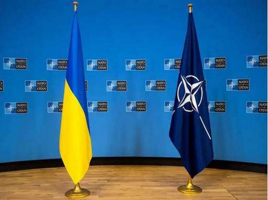 Трамп відвідає червневий саміт НАТО: чи буде там Зеленський