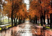 Какая будет погода в Одессе на выходные: прогноз на 1 и 2 ноября.