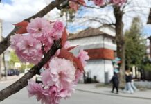Выходные в Украине в мае 2026: сколько будем отдыхать